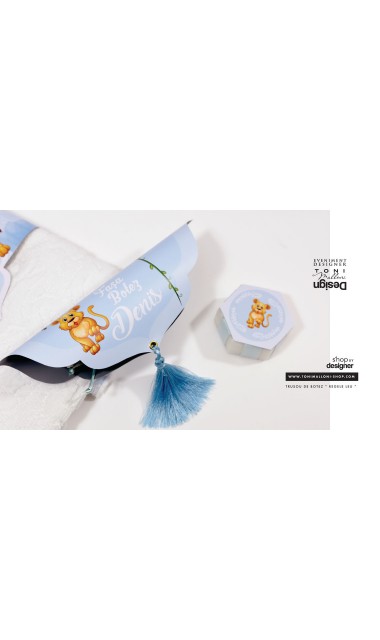 Trusou de botez cu broderie personalizata pentru baieti, Regele leu 34